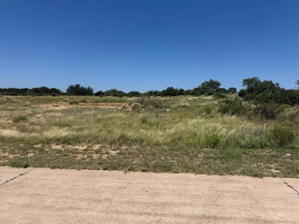 217R Oak Tree Dr, Graford, TX 76449 - #1