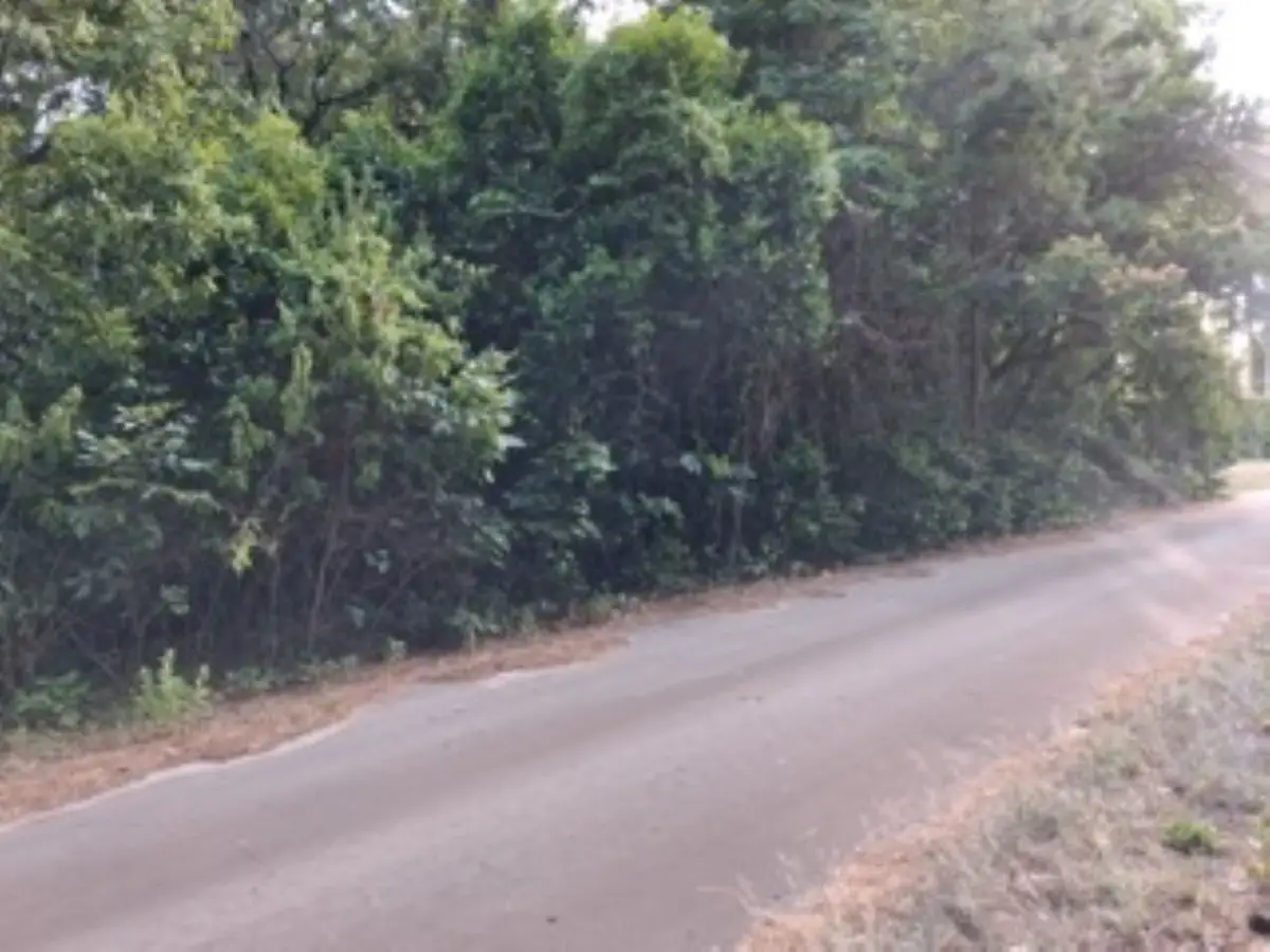 tbd Chapparal Run, Murchison, TX 75778 - #1