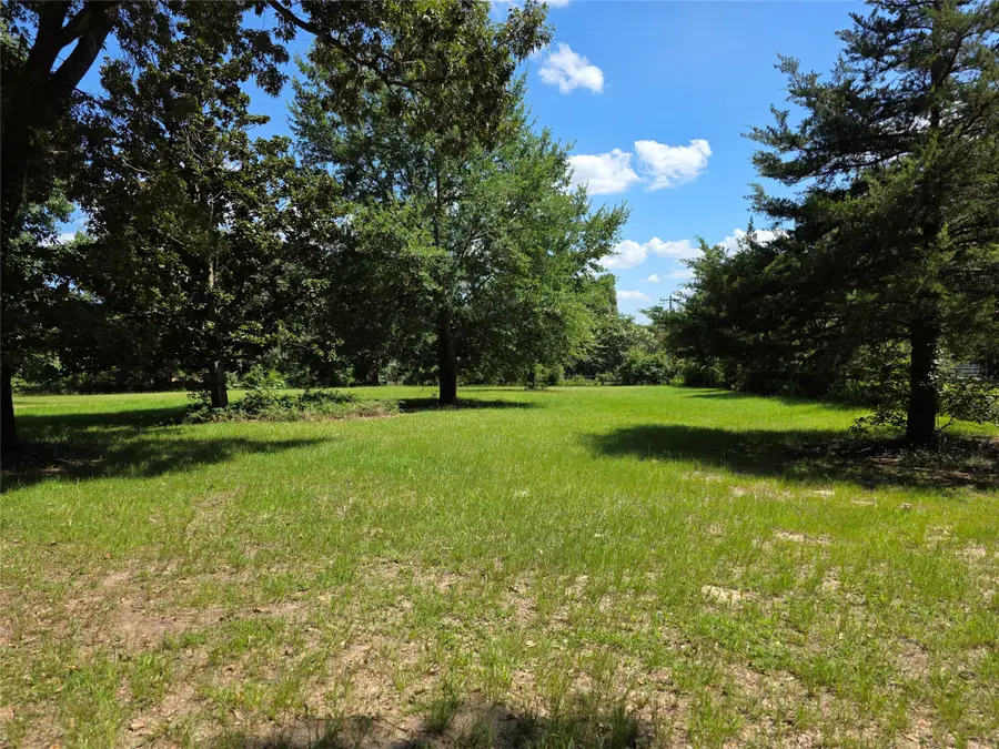 4221 Pine Wood Trail, Larue, TX 75770 - #2
