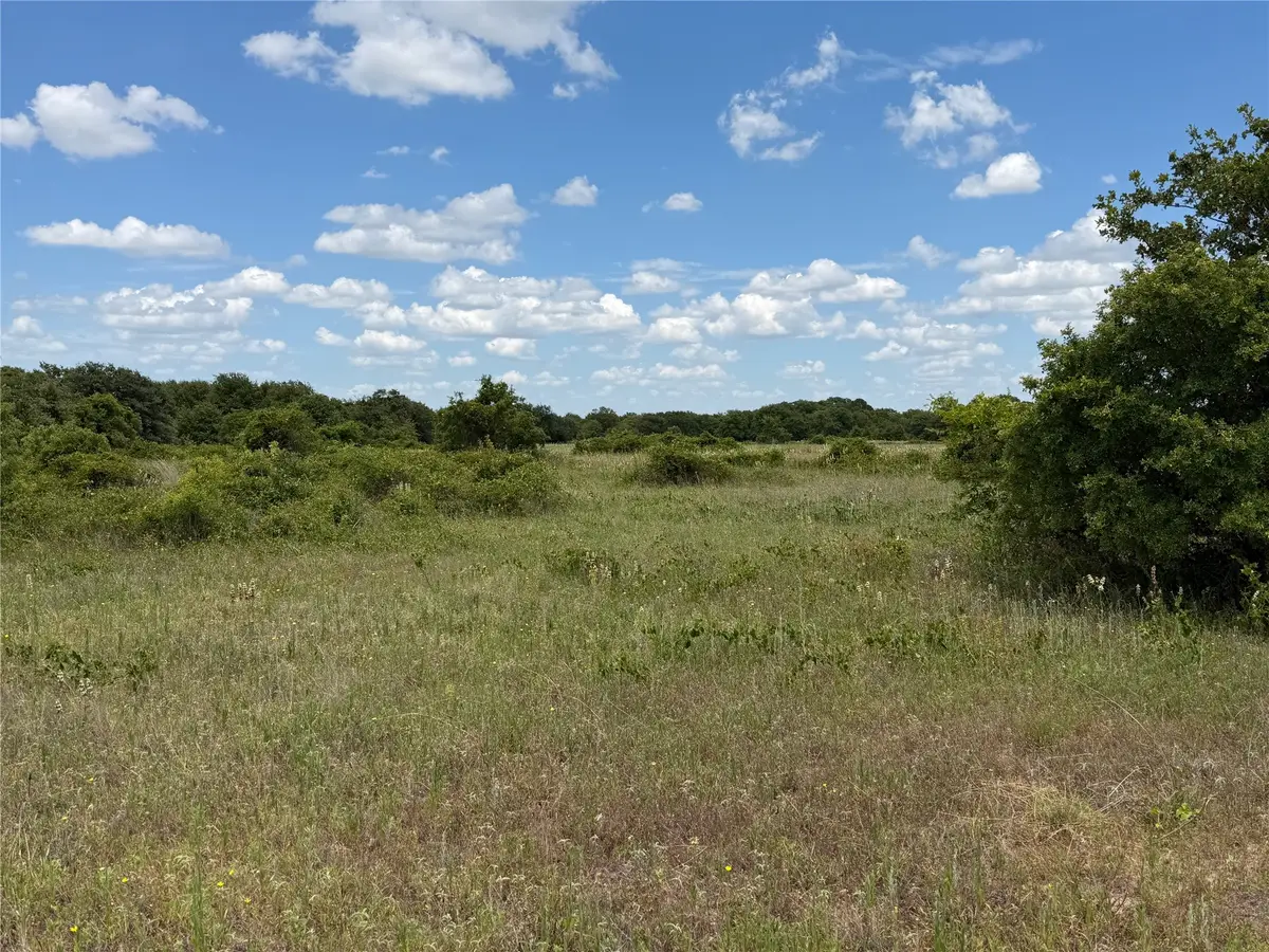 1450 Cr 240, Rising Star, TX 76471 - #1