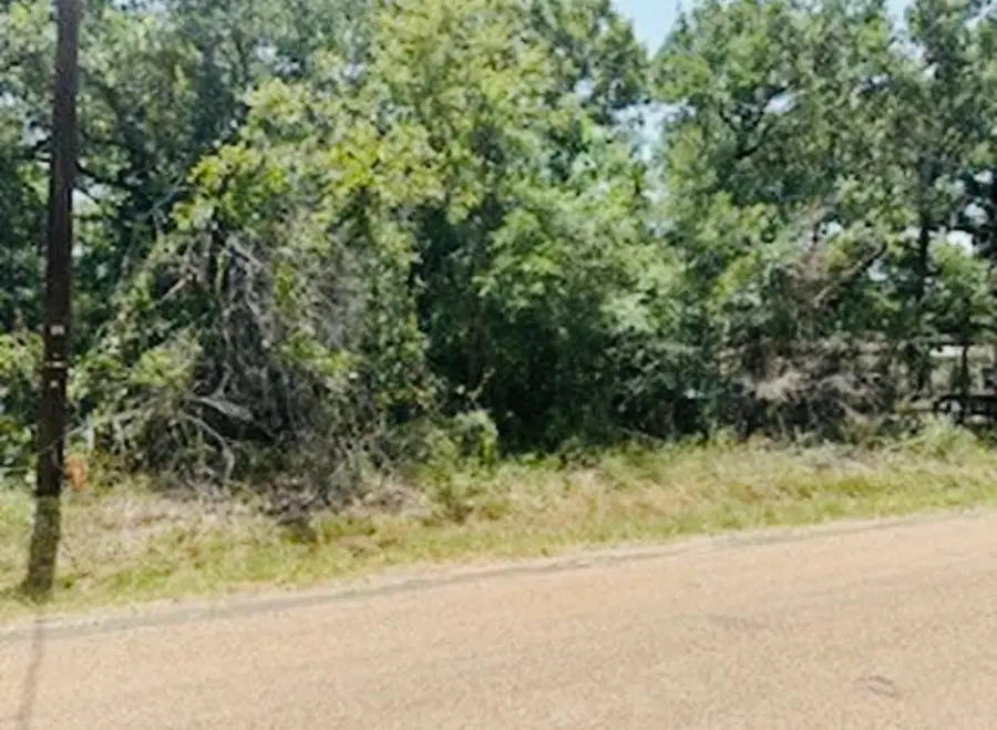 0 Albany Drive, Mabank, TX 75156 - #2
