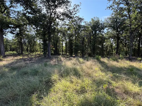 tbd Fm 56, Morgan, TX 76671