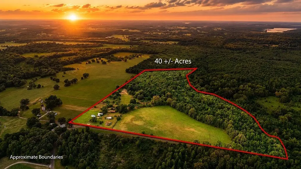 753 County Road 4390, Winnsboro, TX 75494 - #1