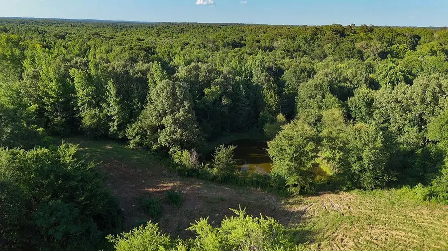 753 County Road 4390, Winnsboro, TX 75494 - #3