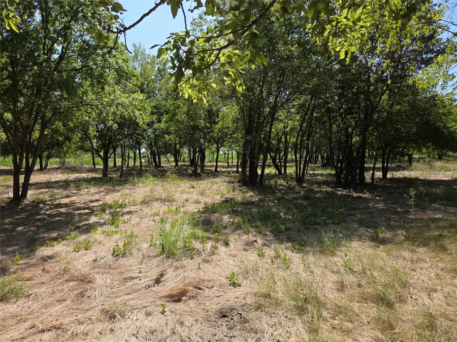 Lot 5-R4 SW County Road, Corsicana, TX 75110 - #3