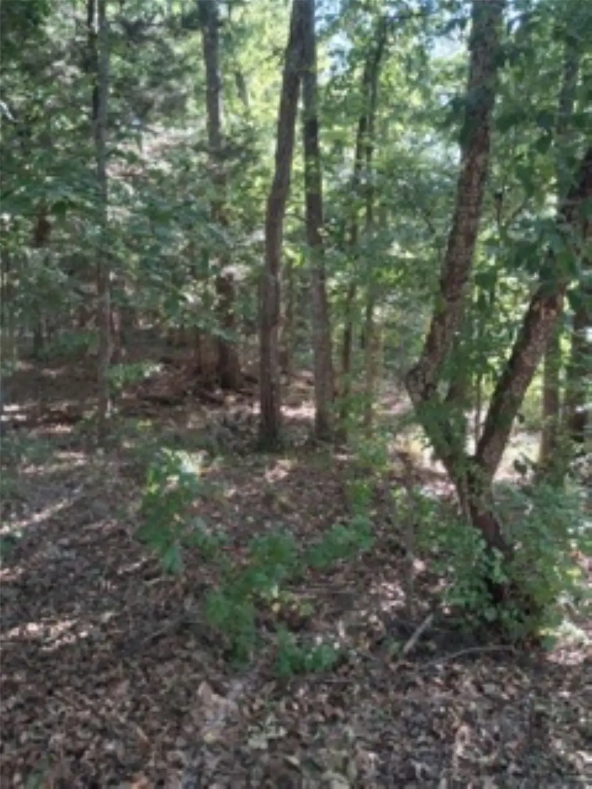 tbd Summit Ridge, Murchison, TX 75778 - #1
