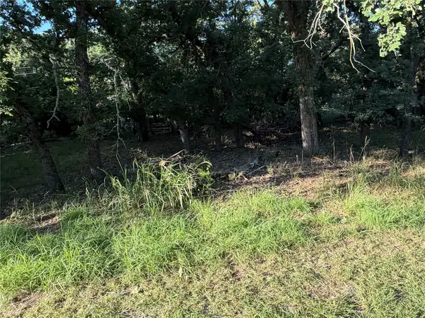 426 Woodwind Drive, May, TX 76857