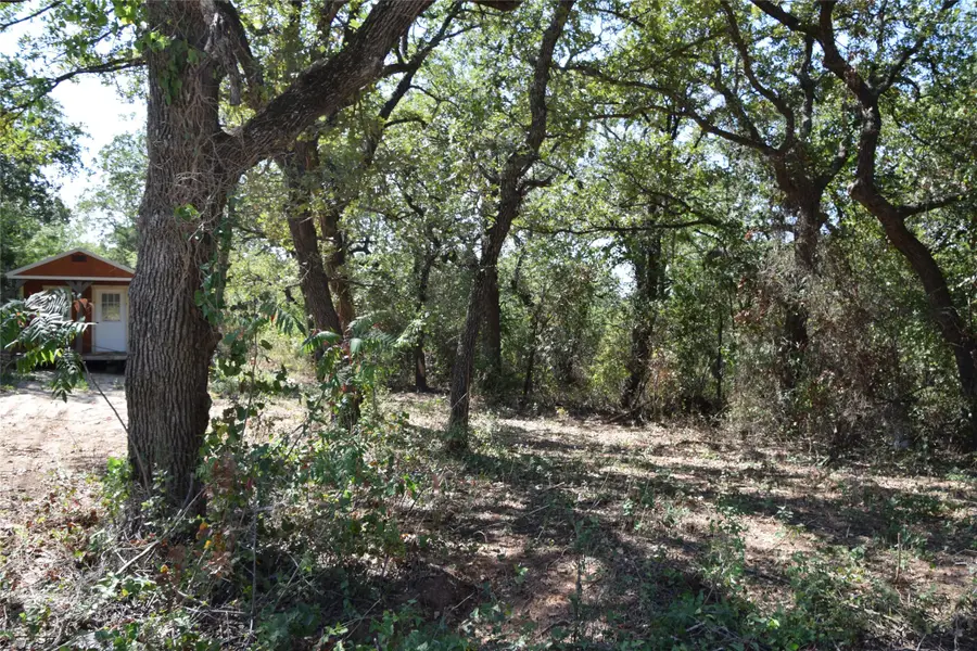 0 Walnut Road, Nocona, TX 76255 - #2