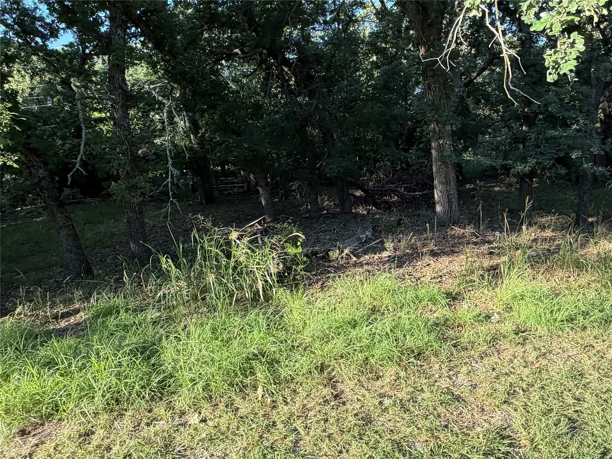 TBD Timberdell Drive, May, TX 76857 - #1