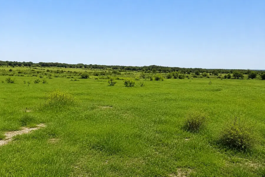 1032 Don Eve Court, Azle, TX 76020 - #2