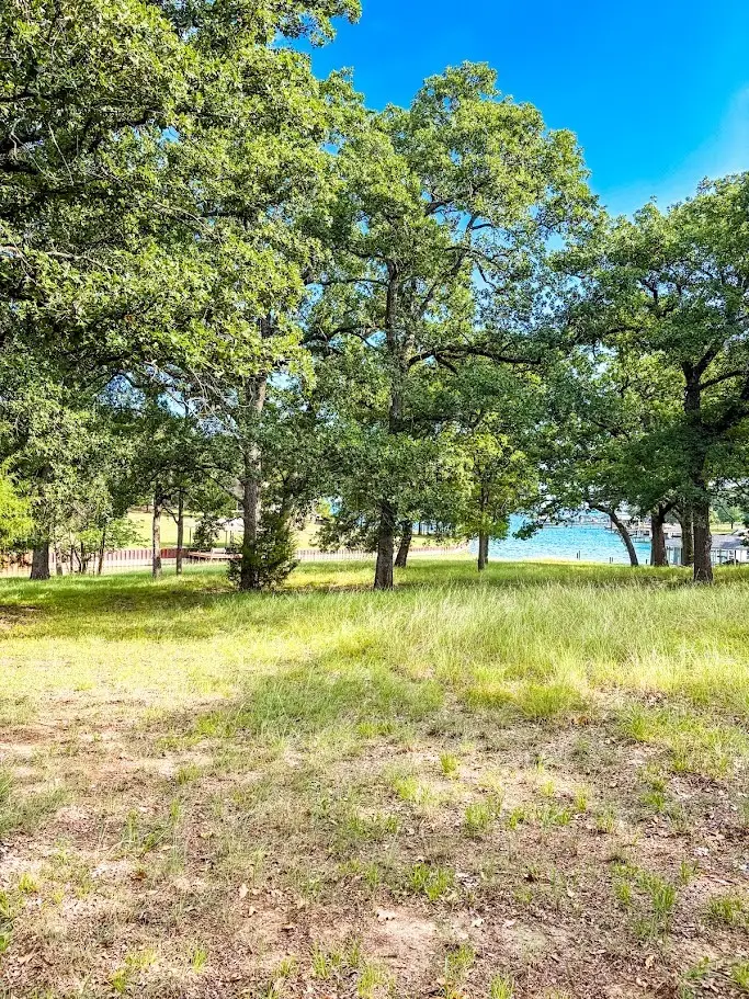 14216 Clark Drive, Streetman, TX 75859 - #2