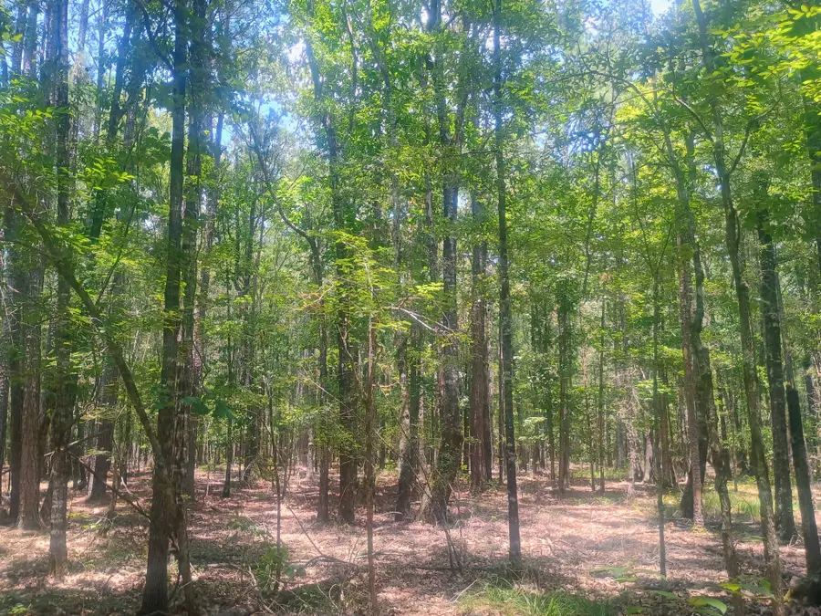 0 Tbd, Benton, LA 71006 - #2