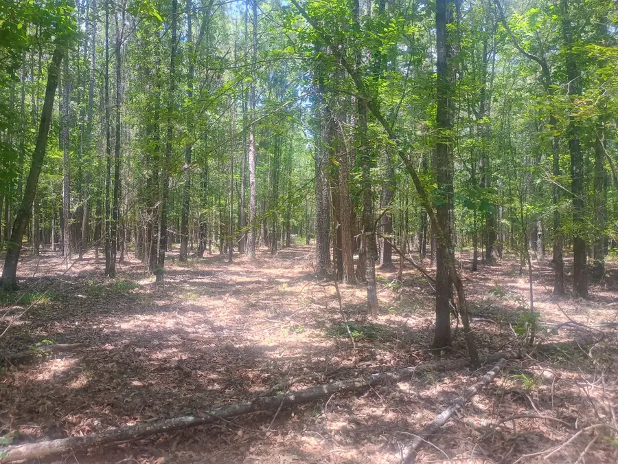 0 Tbd, Benton, LA 71006 - #3