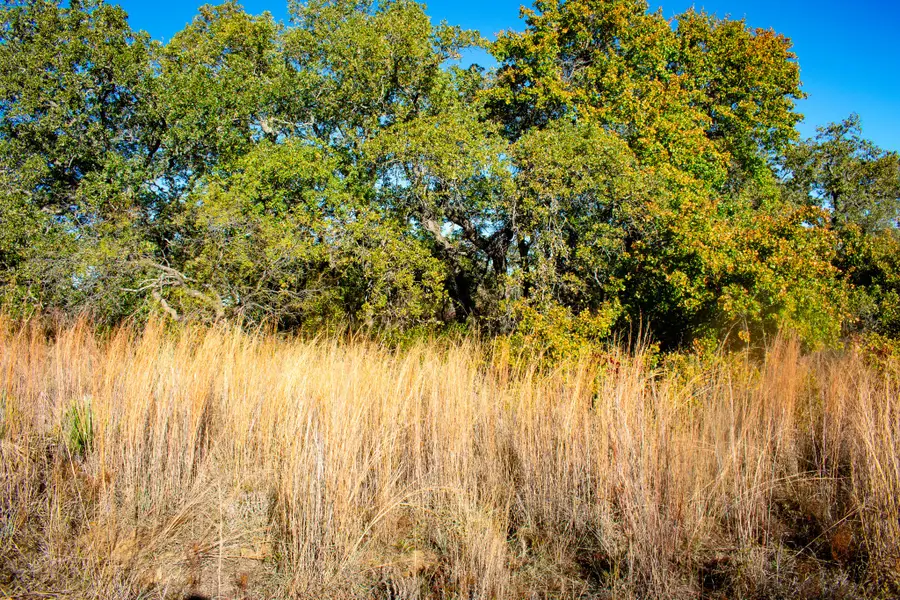 3400 Fm 45, San Saba, TX 76877 - #3