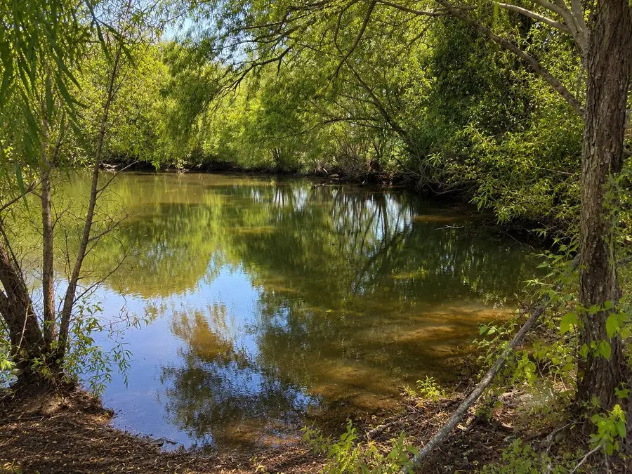 Tract C2-1 County Road 1140, Celeste, TX 75423 - #3