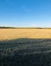 TBD Farm Market 142, Lueders, TX 79533 - #1