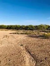 TBD Farm Market 142, Lueders, TX 79533 - #2