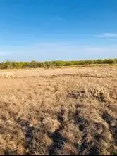 TBD Farm Market 142, Lueders, TX 79533 - #3