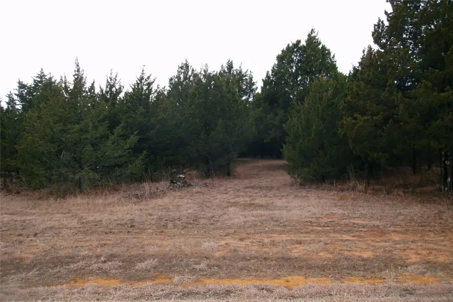 224 Barrington Circle, Gordonville, TX 76245 - #2