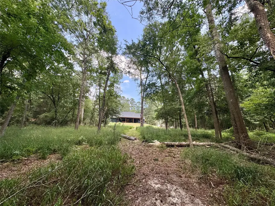 2133 Holly Trail E, Holly Lake Ranch, TX 75765 - #3