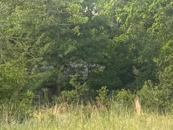910 Vzcr 3119, Edgewood, TX 75117