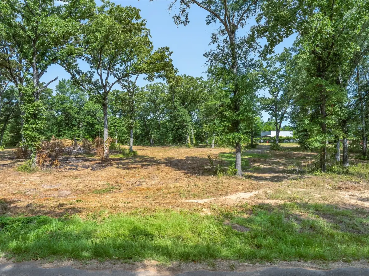 TBD County Road 2880, Mineola, TX 75773 - #1