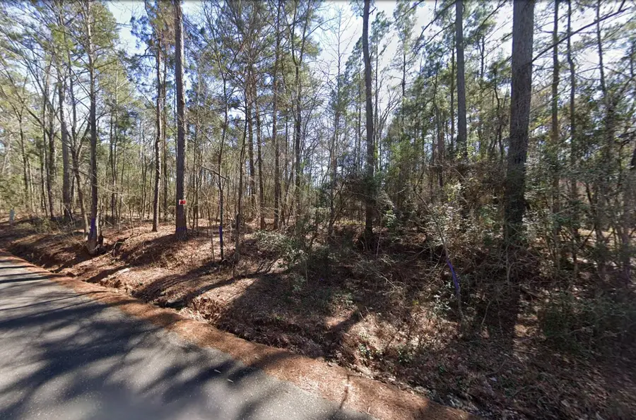 225 Paul Dixon Road, Huntsville, TX 77320 - #2