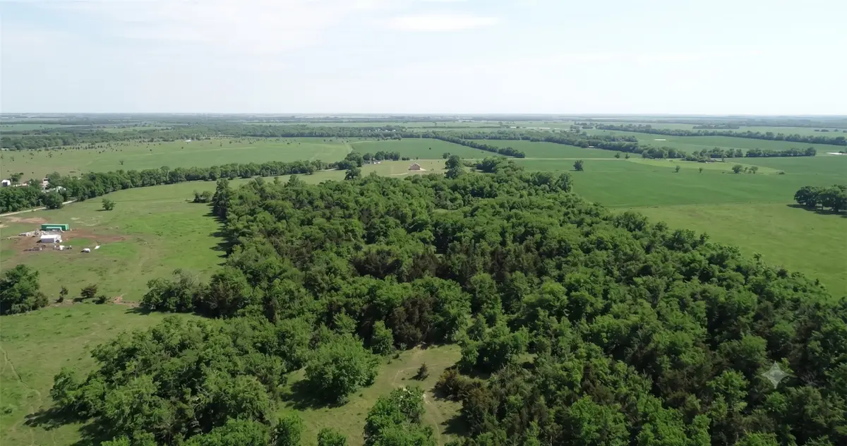 Lot 3 Fm 128 Ss, Cooper, TX 75432 - #1