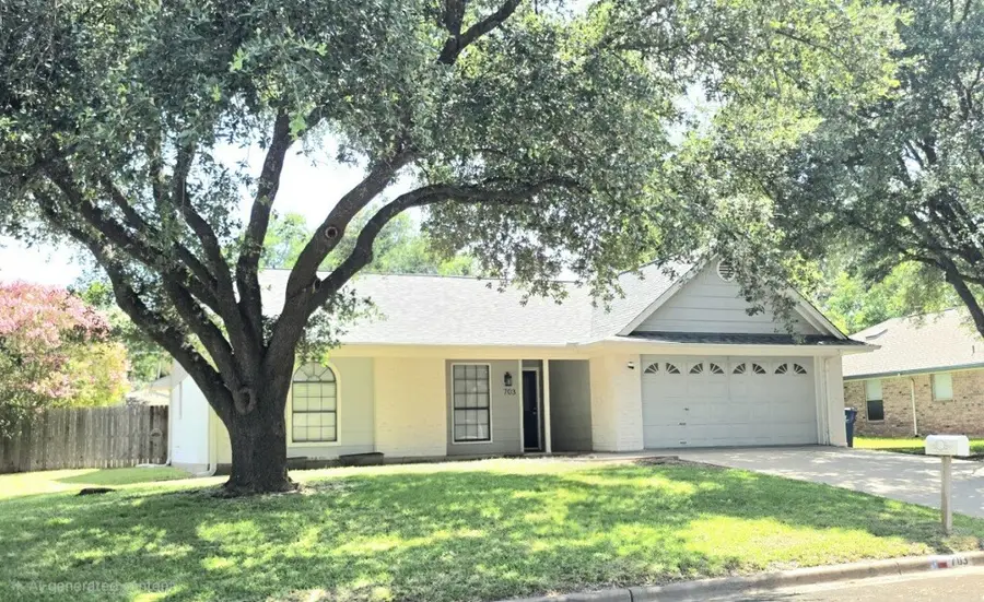 703 Aspen Incline Drive, Hewitt, TX 76643 - #3