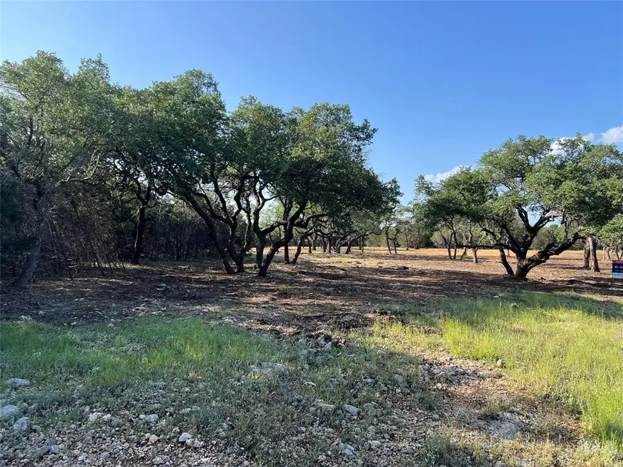 304 Stonegate Lane, Dripping Springs, TX 78620 - #2