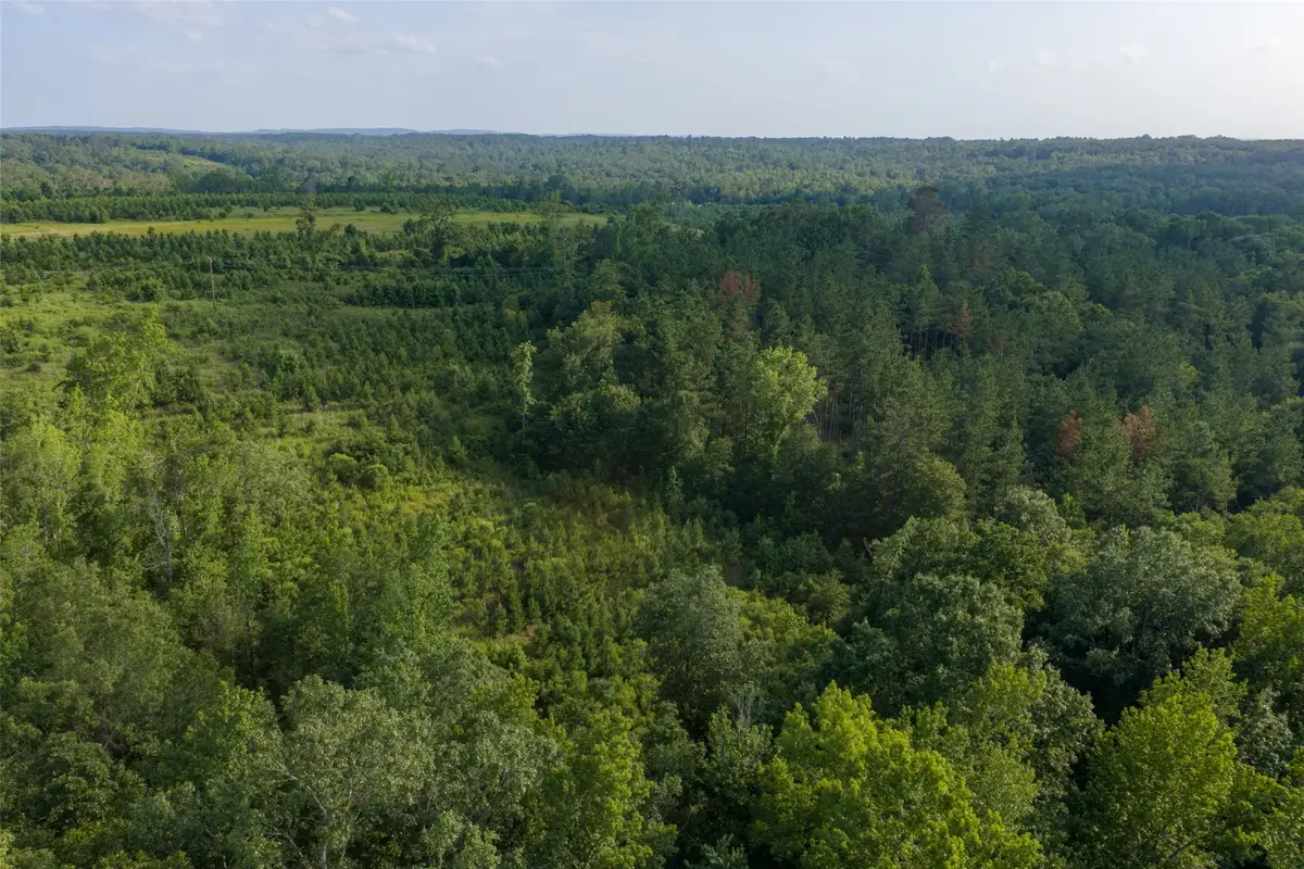 00 County Road 436, Laneville, TX 75667 - #1