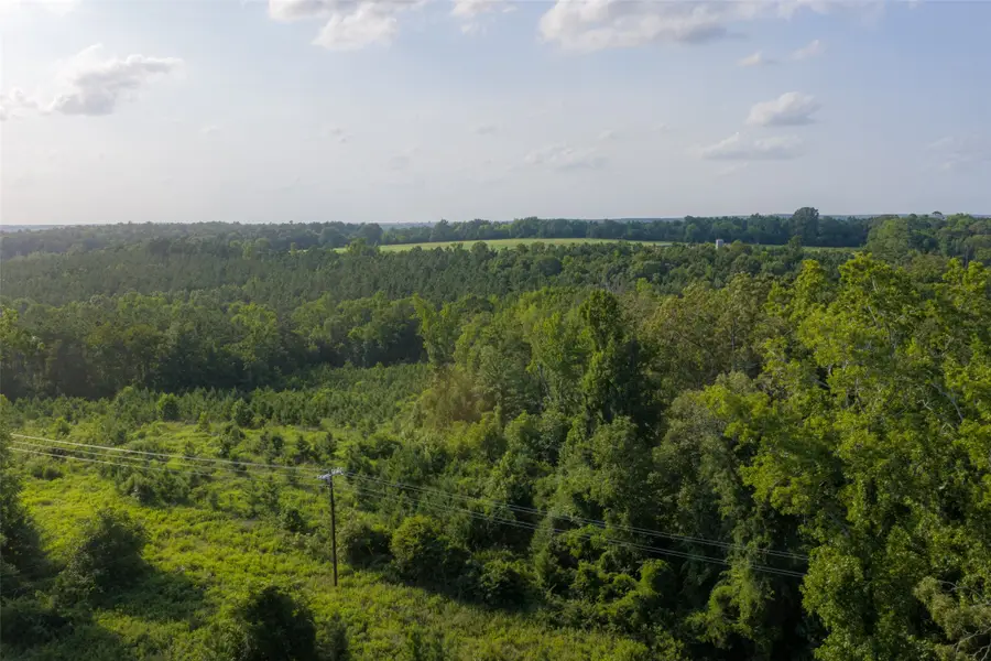00 County Road 436, Laneville, TX 75667 - #3