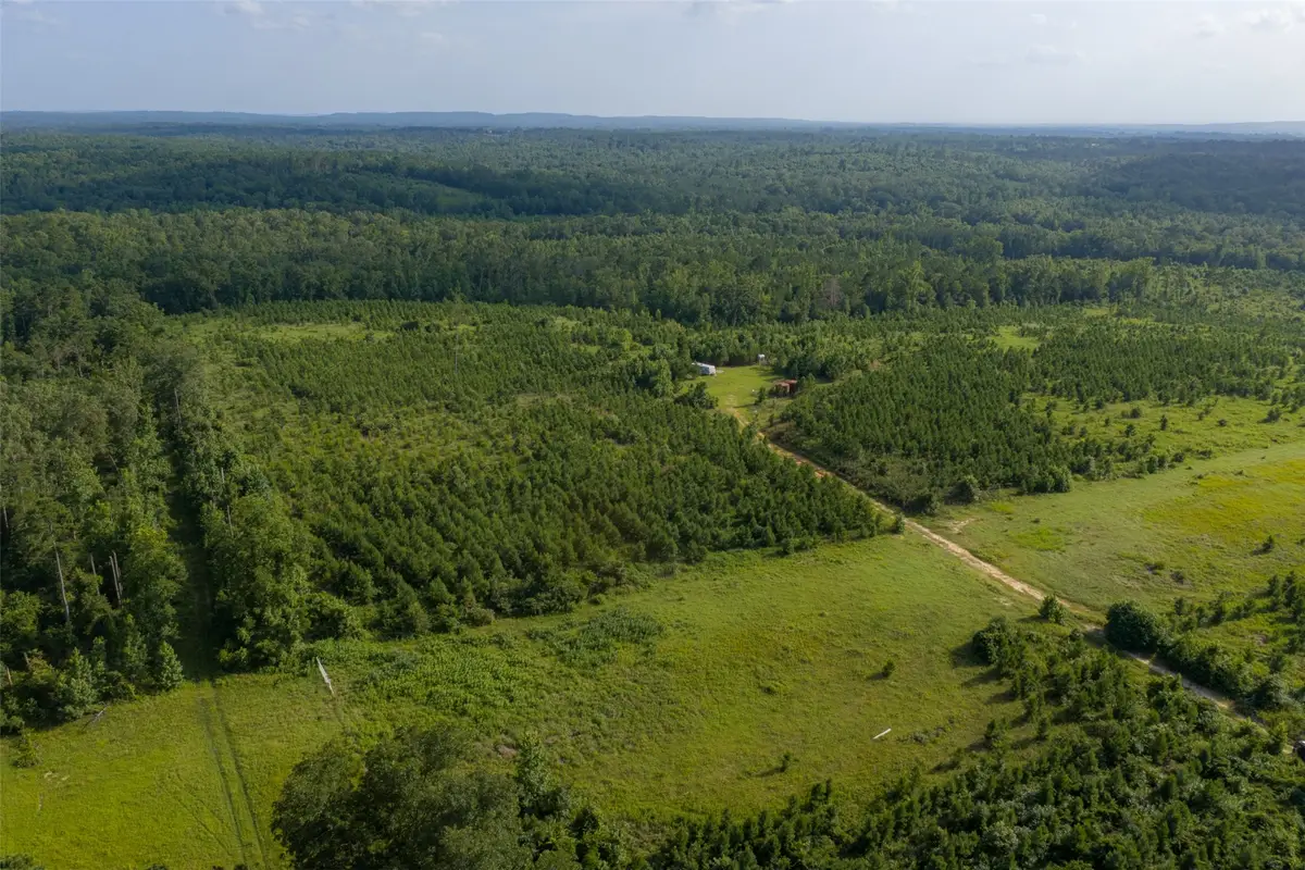 000 County Road 436, Laneville, TX 75667 - #1