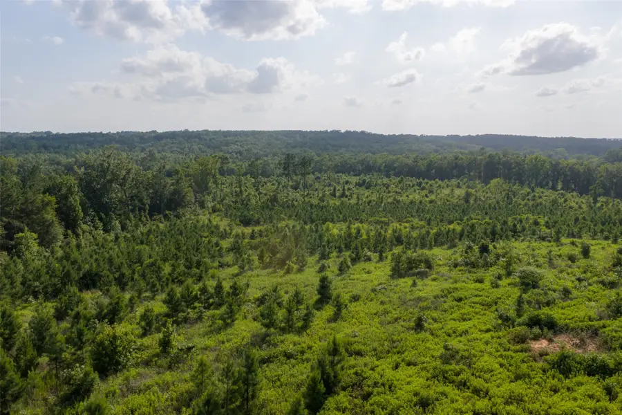 000 County Road 436, Laneville, TX 75667 - #3