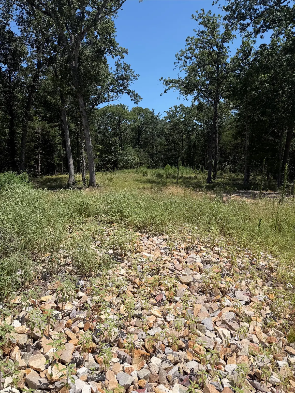 7310 Fm 1567, Lone Oak, TX 75453 - #1