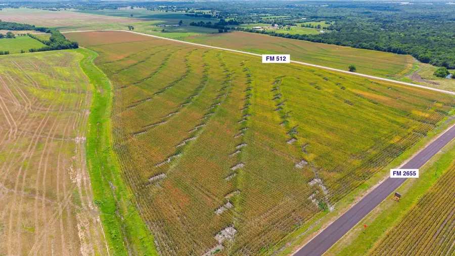 TBD Fm 2655, Wolfe City, TX 75496 - #2
