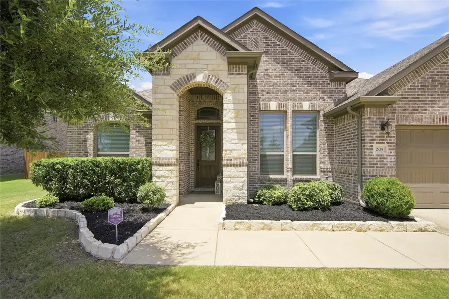 205 Canterbury Court, Midlothian, TX 76065 - #3