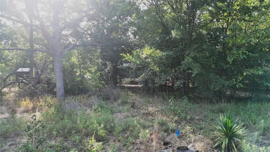 TBD Cherokee Trail, Hawk Cove, TX 75474 - #2