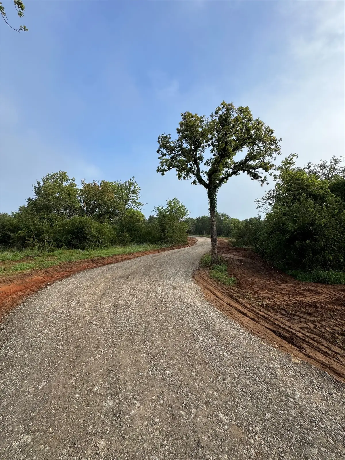 10979 County Road 401, Dublin, TX 76446 - #1