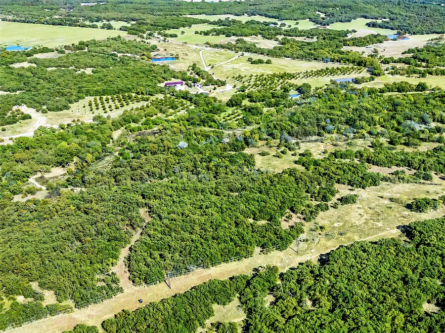 6108 Cottonwood Creek Road, Saint Jo, TX 76265 - #3