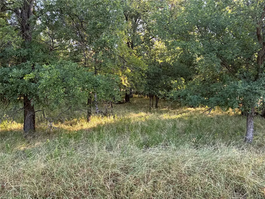 Lot 591 Cypress Drive, May, TX 76857 - #2