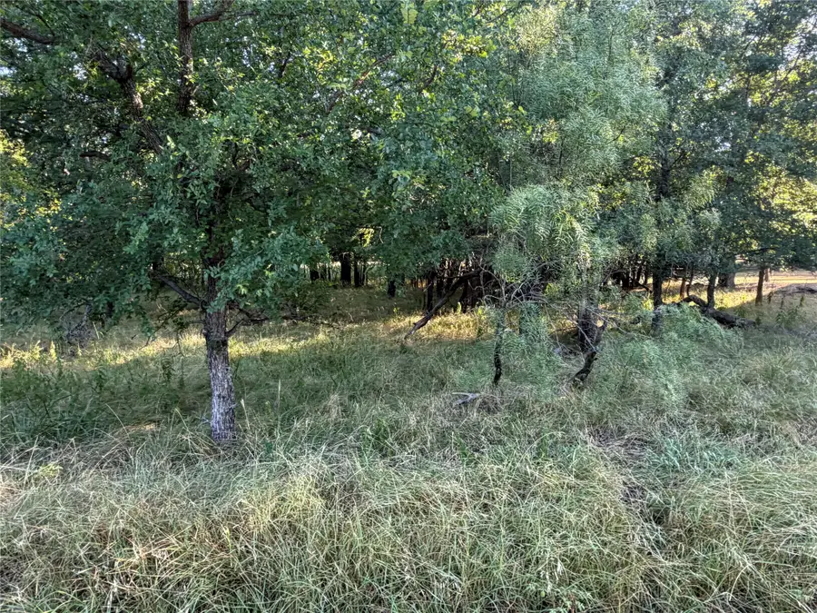 Lot 591 Cypress Drive, May, TX 76857 - #3