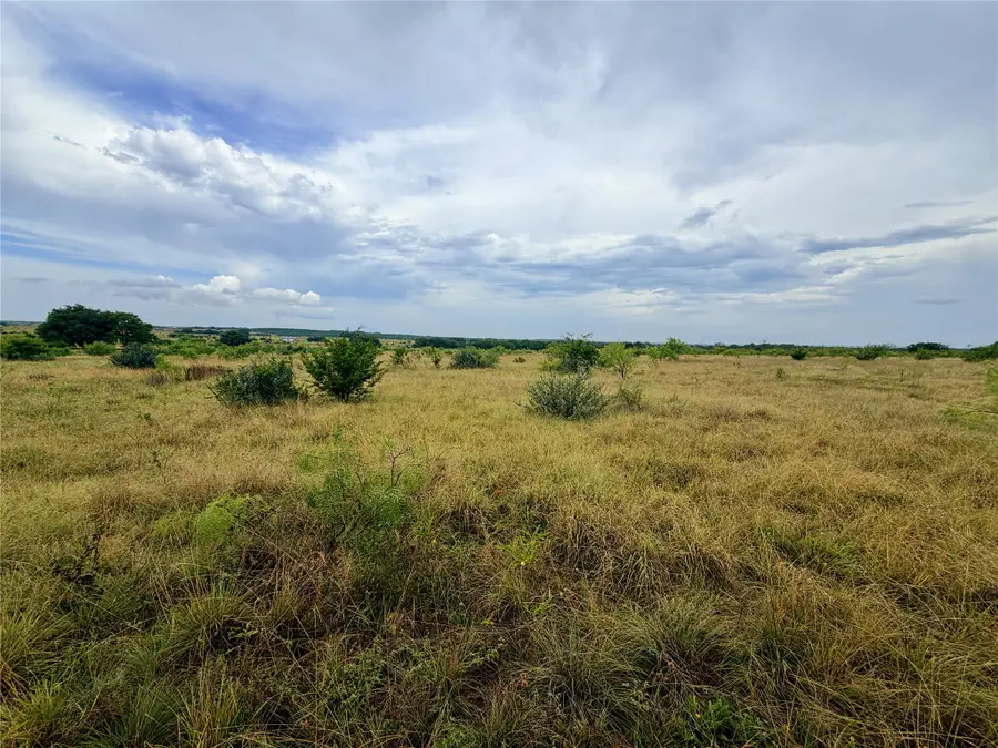 104 Live Oak Mott Drive, Goldthwaite, TX 76844 - #3