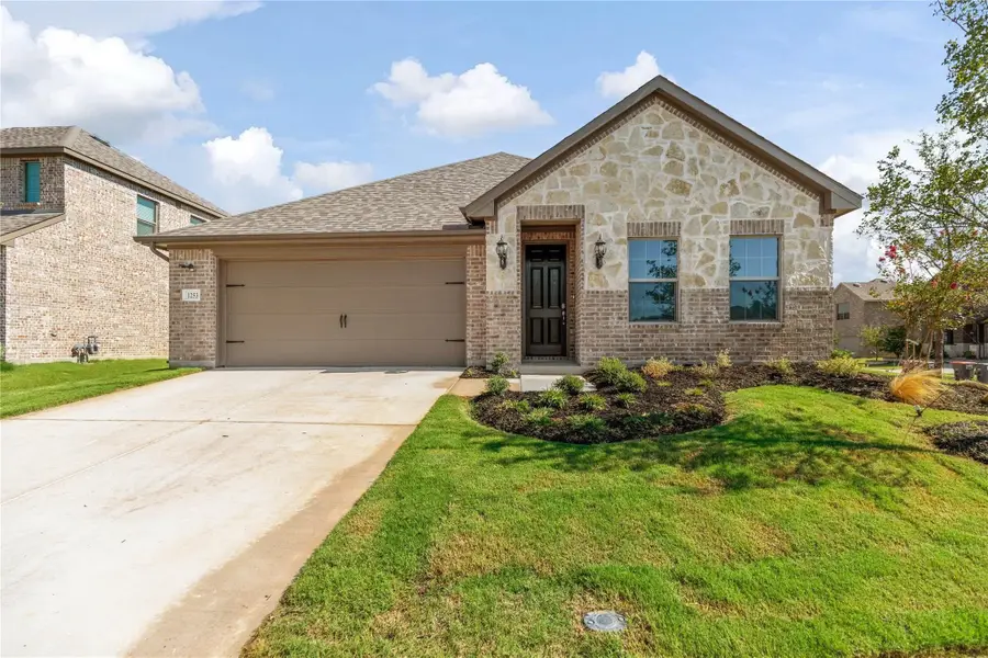 1253 Carinna Drive, Anna, TX 75409 - #2