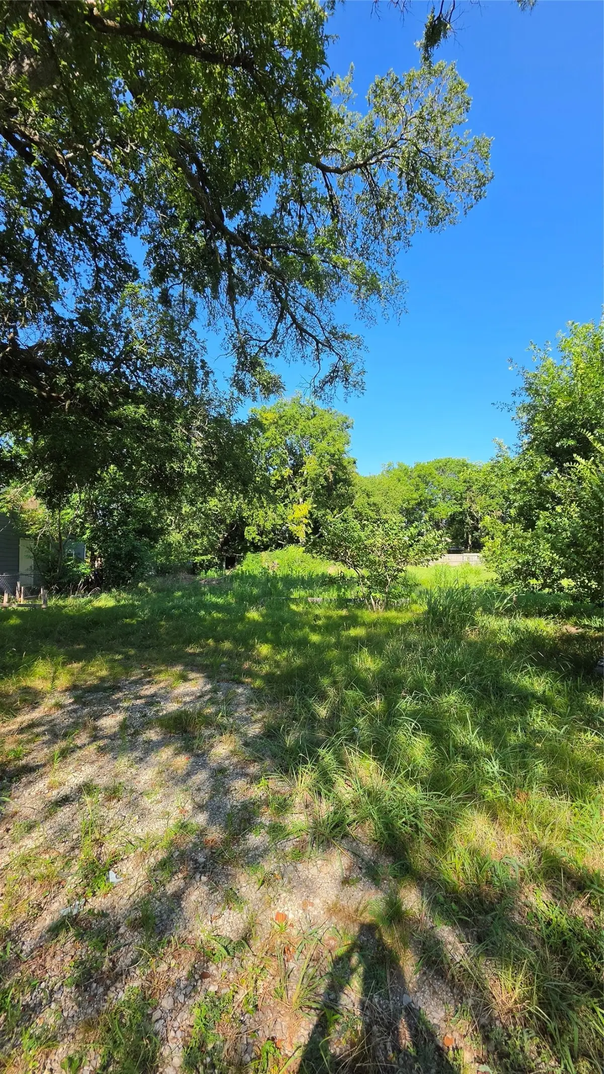 2118 S Branch Street, Sherman, TX 75090 - #1