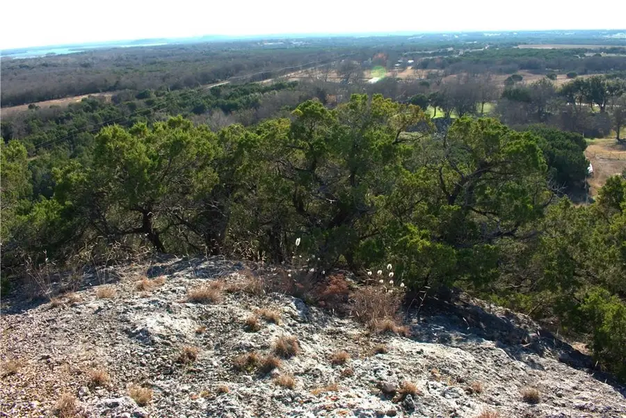 405 Public Road 1212, Kopperl, TX 76652 - #2