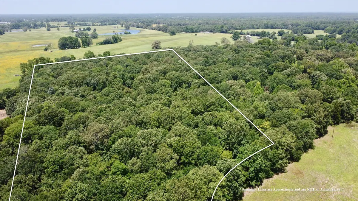 Tract 6 Cr 44400, Powderly, TX 75473 - #1