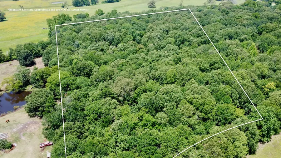 Tract 6 Cr 44400, Powderly, TX 75473 - #2