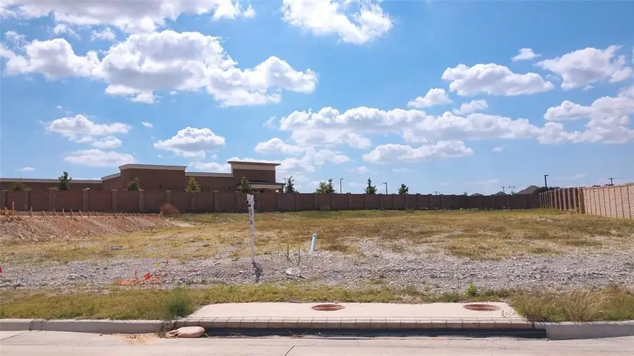 1421 Copper Point Drive, Prosper, TX 75078 - #3