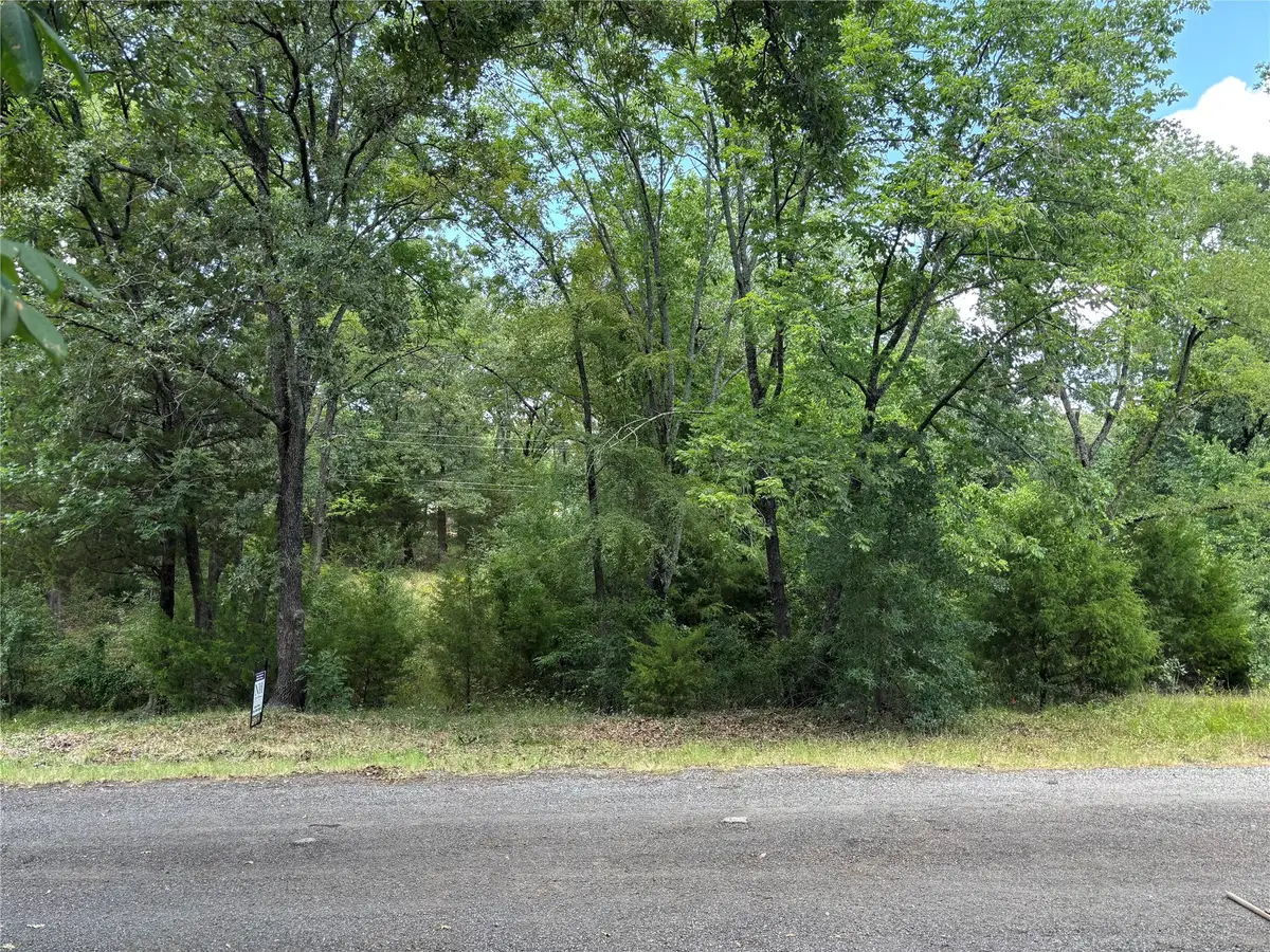 6132 Tejas Drive, Mabank, TX 75156 - #1